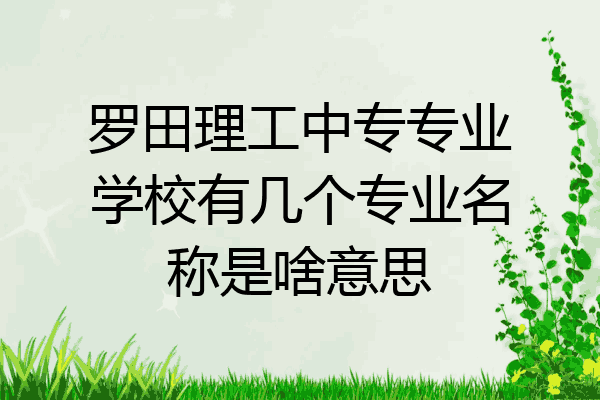 罗田理工中专专业学校有几个专业名称是啥意思