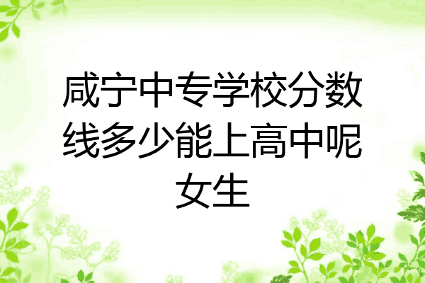 咸宁中专学校分数线多少能上高中呢女生