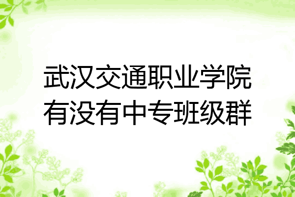 武汉交通职业学院有没有中专班级群