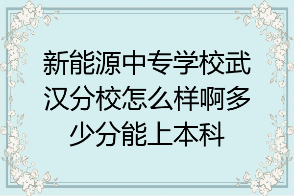 新能源中专学校武汉分校怎么样啊多少分能上本科