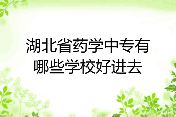 湖北省药学中专有哪些学校好进去