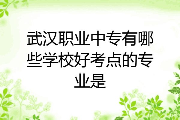 武汉职业中专有哪些学校好考点的专业是