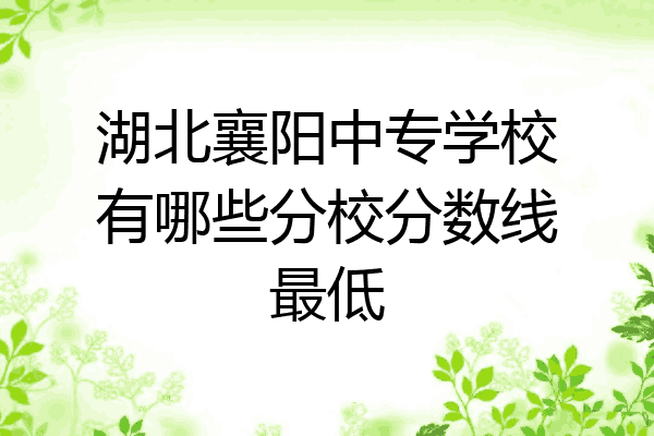 湖北襄阳中专学校有哪些分校分数线最低