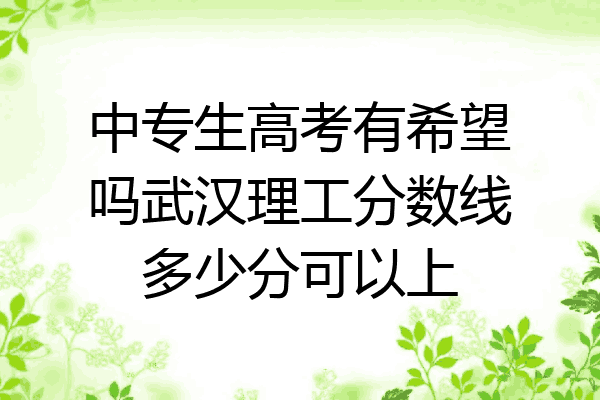 中专生高考有希望吗武汉理工分数线多少分可以上