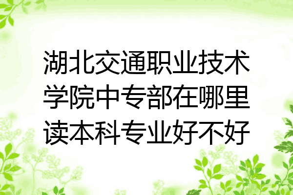 湖北交通职业技术学院中专部在哪里读本科专业好不好