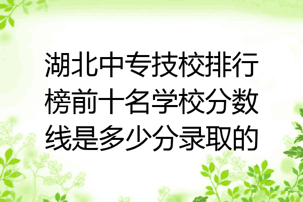 湖北中专技校排行榜前十名学校分数线是多少分录取的