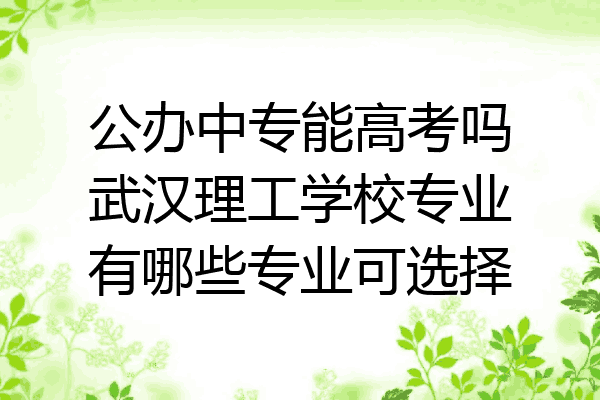 公办中专能高考吗武汉理工学校专业有哪些专业可选择