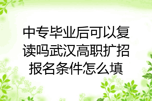 中专毕业后可以复读吗武汉高职扩招报名条件怎么填