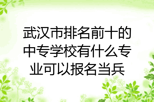 武汉市排名前十的中专学校有什么专业可以报名当兵