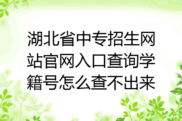 湖北省中专招生网站官网入口查询学籍号怎么查不出来