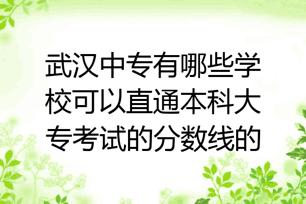 武汉中专有哪些学校可以直通本科大专考试的分数线的