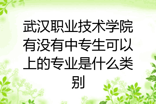 武汉职业技术学院有没有中专生可以上的专业是什么类别