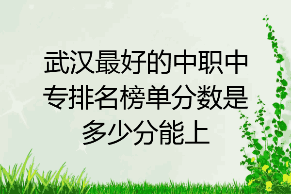 武汉最好的中职中专排名榜单分数是多少分能上