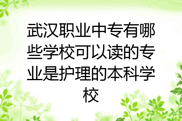 武汉职业中专有哪些学校可以读的专业是护理的本科学校