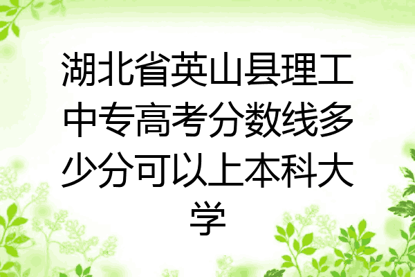 湖北省英山县理工中专高考分数线多少分可以上本科大学