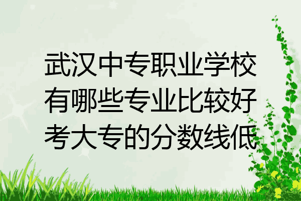 武汉中专职业学校有哪些专业比较好考大专的分数线低