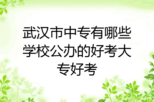 武汉市中专有哪些学校公办的好考大专好考