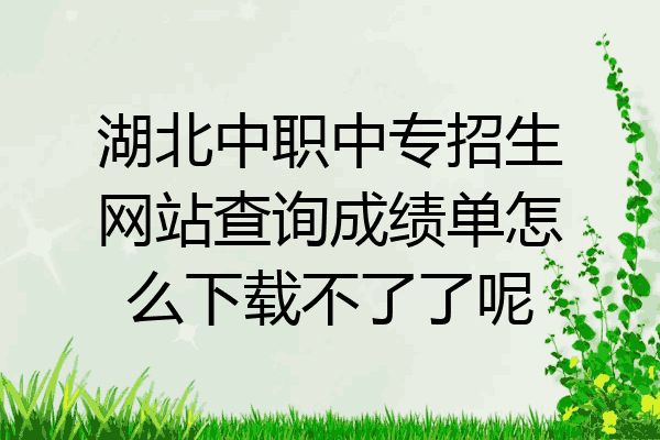 湖北中职中专招生网站查询成绩单怎么下载不了了呢