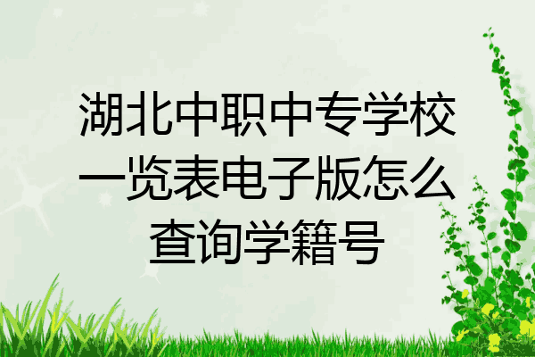 湖北中职中专学校一览表电子版怎么查询学籍号
