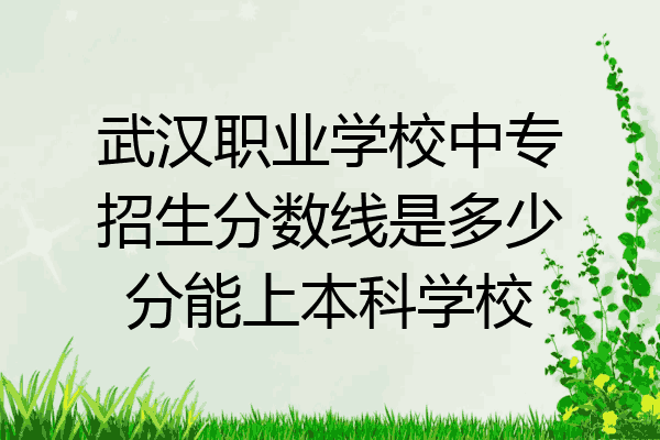 武汉职业学校中专招生分数线是多少分能上本科学校