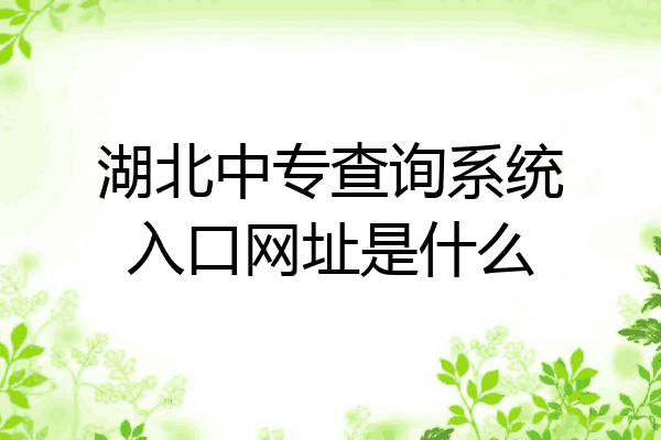 湖北中专查询系统入口网址是什么