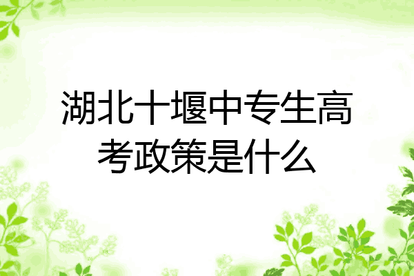湖北十堰中专生高考政策是什么