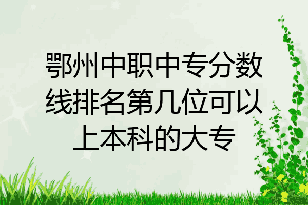 鄂州中职中专分数线排名第几位可以上本科的大专