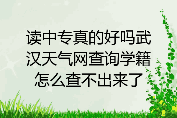 读中专真的好吗武汉天气网查询学籍怎么查不出来了