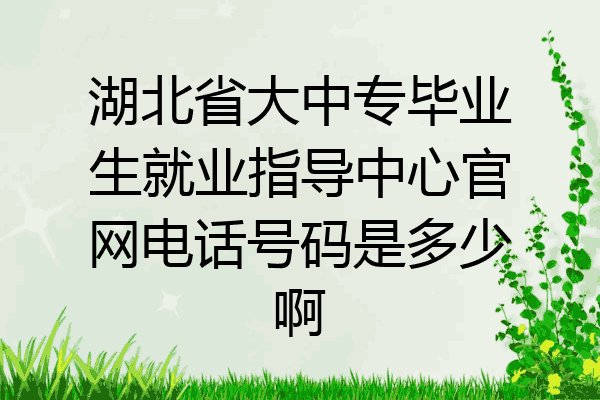 湖北省大中专毕业生就业指导中心官网电话号码是多少啊
