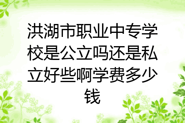 洪湖市职业中专学校是公立吗还是私立好些啊学费多少钱