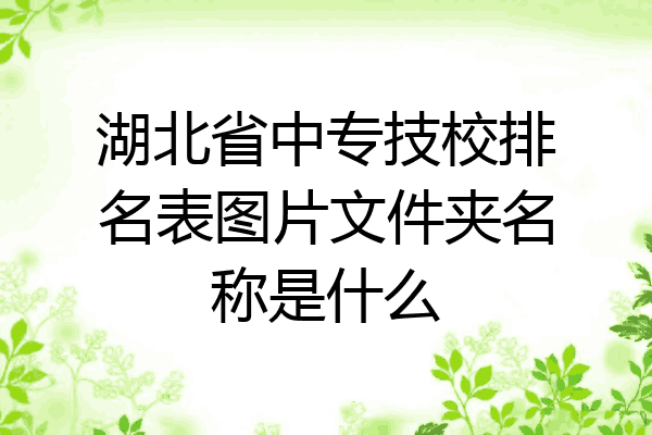 湖北省中专技校排名表图片文件夹名称是什么