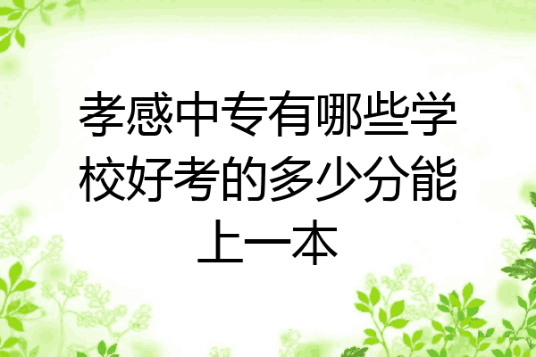 孝感中专有哪些学校好考的多少分能上一本