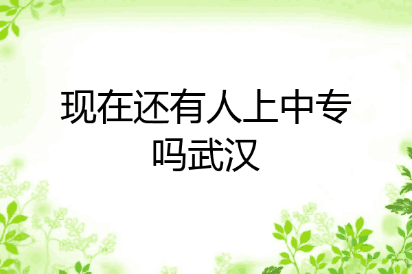 现在还有人上中专吗武汉