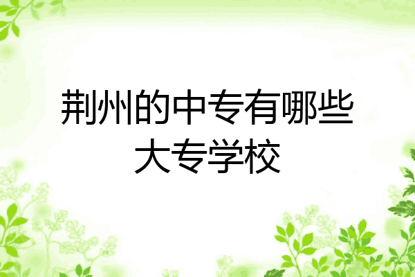 荆州的中专有哪些大专学校