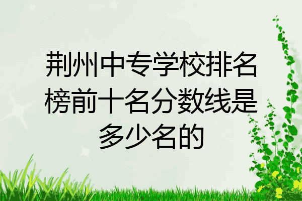荆州中专学校排名榜前十名分数线是多少名的