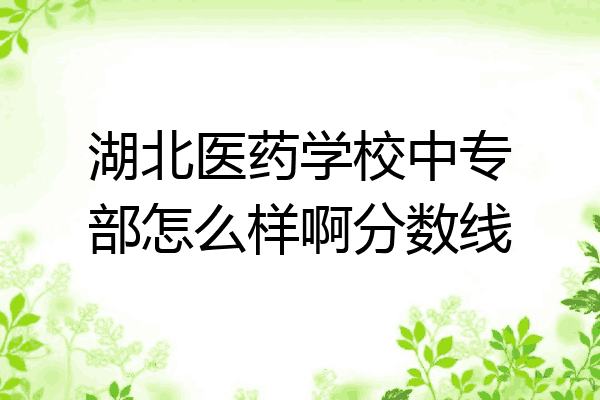 湖北医药学校中专部怎么样啊分数线