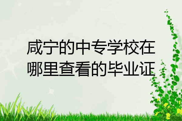 咸宁的中专学校在哪里查看的毕业证