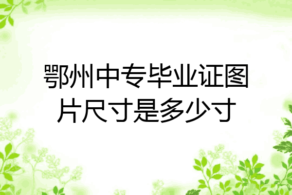 鄂州中专毕业证图片尺寸是多少寸