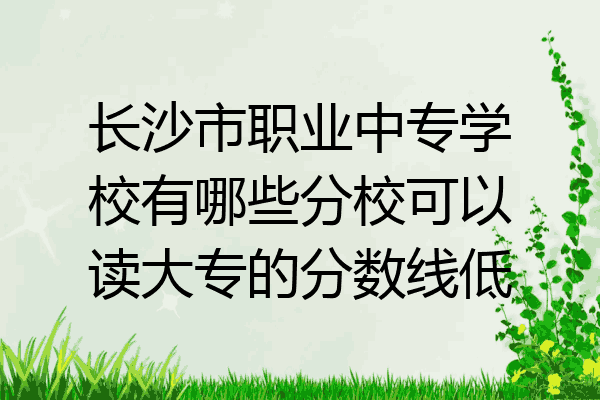 长沙市职业中专学校有哪些分校可以读大专的分数线低