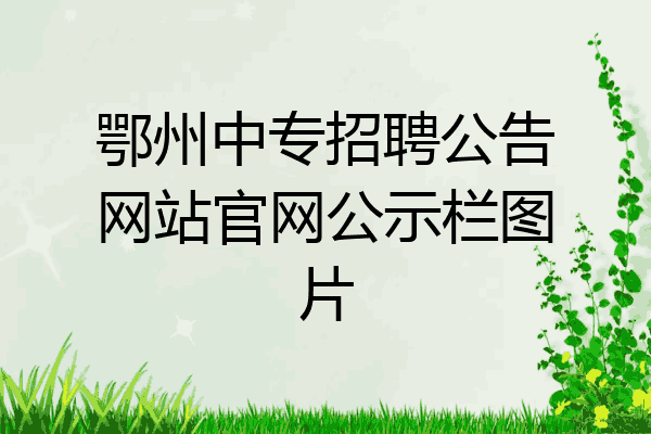 鄂州中专招聘公告网站官网公示栏图片