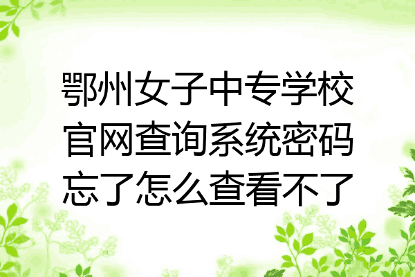 鄂州女子中专学校官网查询系统密码忘了怎么查看不了