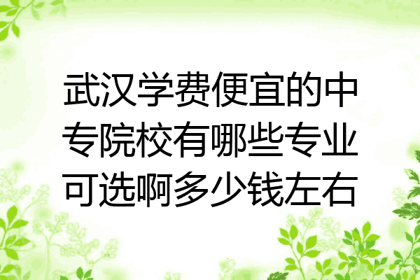 武汉学费便宜的中专院校有哪些专业可选啊多少钱左右