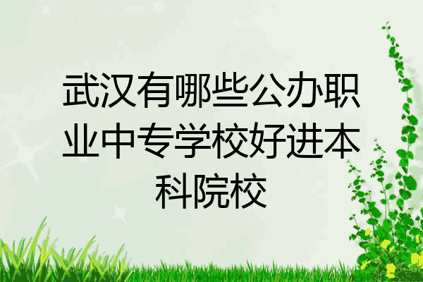 武汉有哪些公办职业中专学校好进本科院校