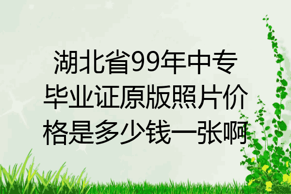 湖北省99年中专毕业证原版照片价格是多少钱一张啊
