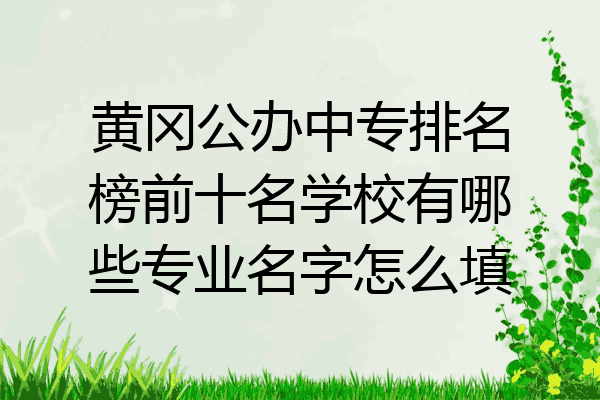 黄冈公办中专排名榜前十名学校有哪些专业名字怎么填