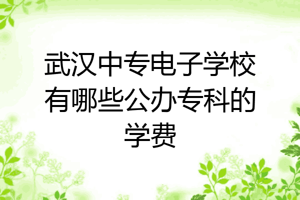 武汉中专电子学校有哪些公办专科的学费