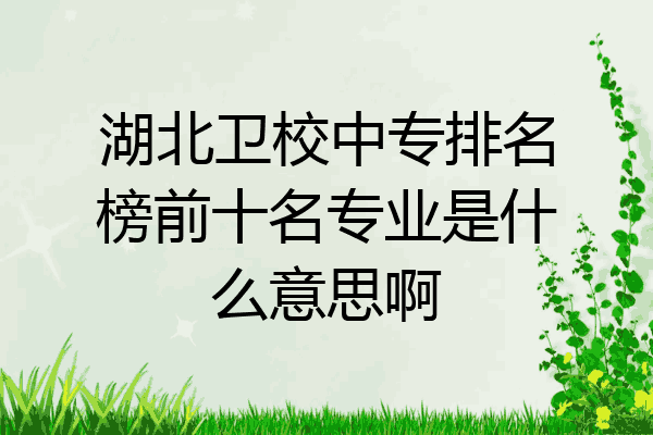 湖北卫校中专排名榜前十名专业是什么意思啊
