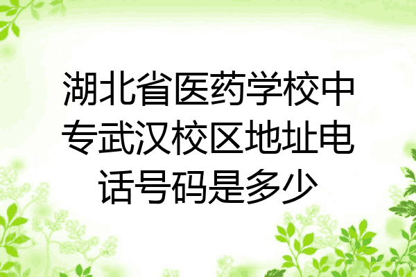 湖北省医药学校中专武汉校区地址电话号码是多少