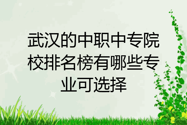 武汉的中职中专院校排名榜有哪些专业可选择