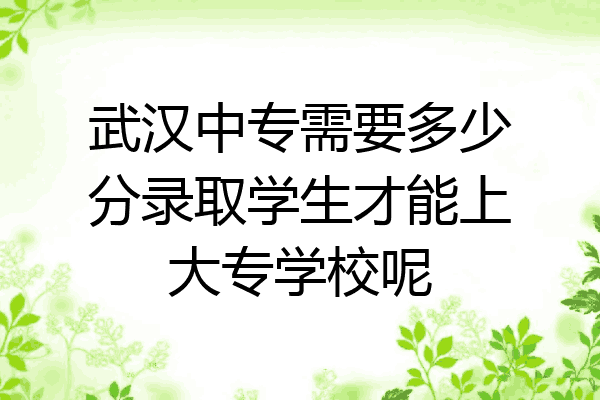 武汉中专需要多少分录取学生才能上大专学校呢